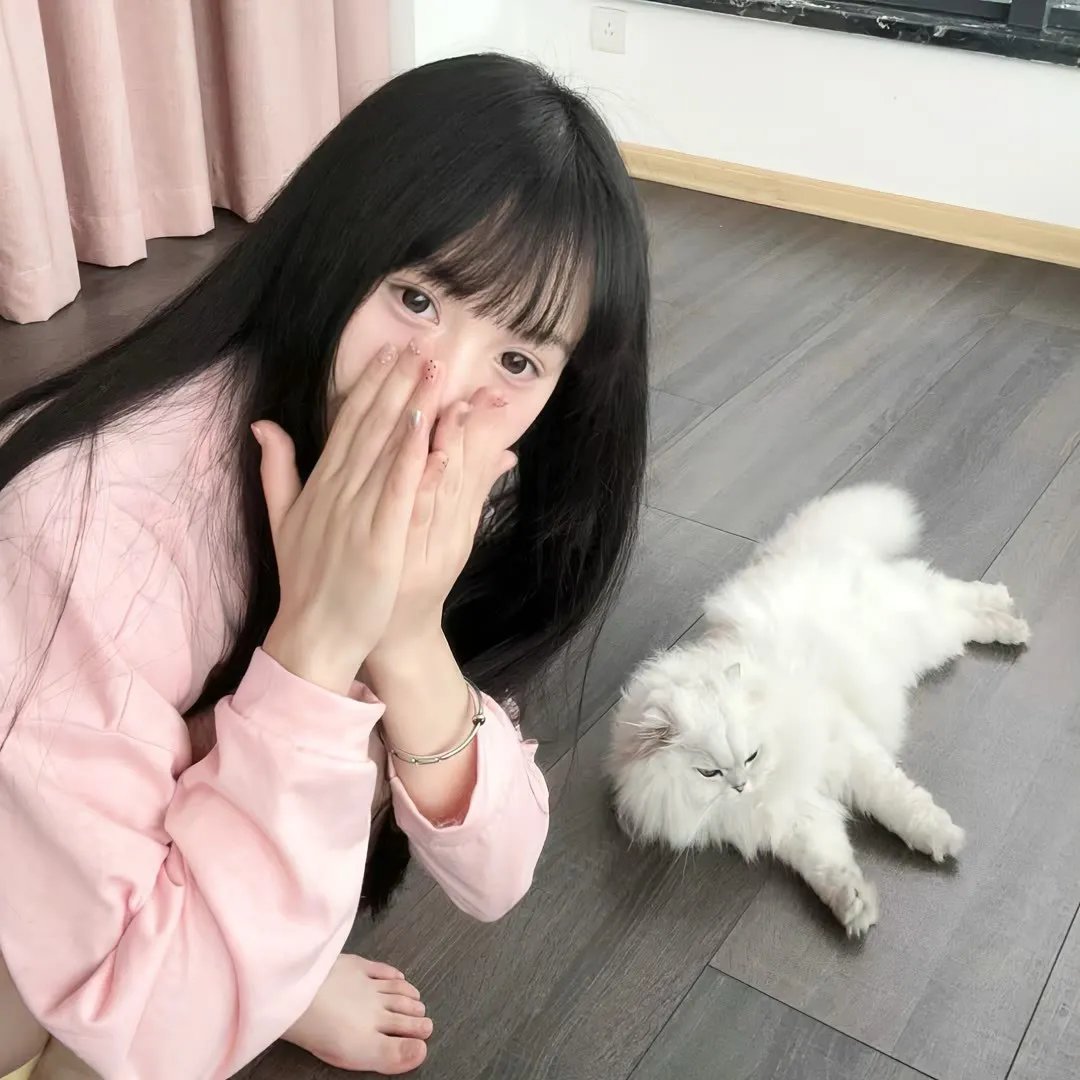 小勇者们～卡美拉～